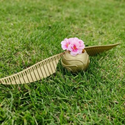 Maceta Snicth Harry Potter Decoracion Para Interior